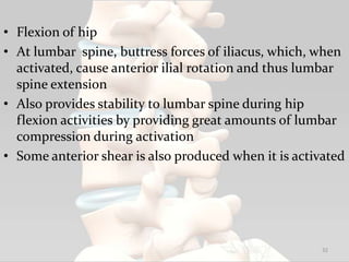 • Flexion of hip
• At lumbar spine, buttress forces of iliacus, which, when
activated, cause anterior ilial rotation and thus lumbar
spine extension
• Also provides stability to lumbar spine during hip
flexion activities by providing great amounts of lumbar
compression during activation
• Some anterior shear is also produced when it is activated
32
 