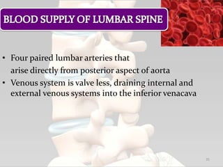 • Four paired lumbar arteries that
arise directly from posterior aspect of aorta
• Venous system is valve less, draining internal and
external venous systems into the inferior venacava
35
 