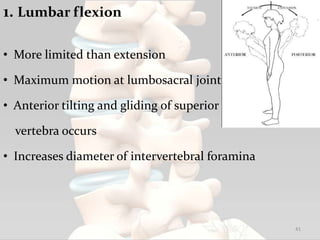 1. Lumbar flexion
• More limited than extension
• Maximum motion at lumbosacral joint
• Anterior tilting and gliding of superior
vertebra occurs
• Increases diameter of intervertebral foramina
41
 