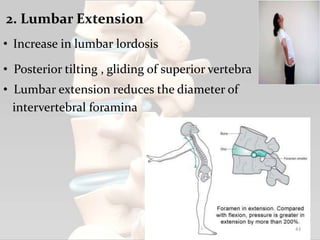 2. Lumbar Extension
• Increase in lumbar lordosis
• Posterior tilting , gliding of superior vertebra
• Lumbar extension reduces the diameter of
intervertebral foramina
43
 