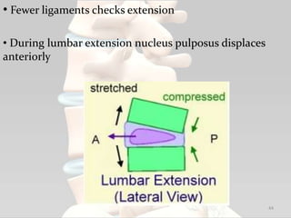 • Fewer ligaments checks extension
• During lumbar extension nucleus pulposus displaces
anteriorly
44
 