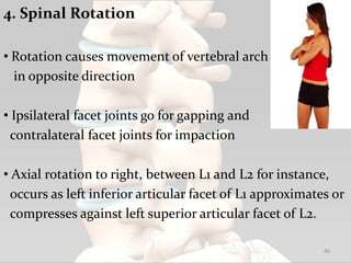 4. Spinal Rotation
• Rotation causes movement of vertebral arch
in opposite direction
• Ipsilateral facet joints go for gapping and
contralateral facet joints for impaction
• Axial rotation to right, between L1 and L2 for instance,
occurs as left inferior articular facet of L1 approximates or
compresses against left superior articular facet of L2.
46
 