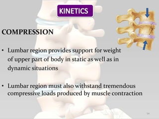 COMPRESSION
• Lumbar region provides support for weight
of upper part of body in static as well as in
dynamic situations
• Lumbar region must also withstand tremendous
compressive loads produced by muscle contraction
54
 