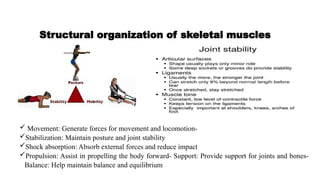 Biomechanics of musculoskeletal system | PPTX