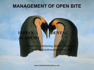 MANAGEMENT OF OPEN BITE

INDIAN
ACADEMY

DENTAL

Leader in continuing dental education
www.indiandentalacademy.com

www.indiandentalacademy.com

 