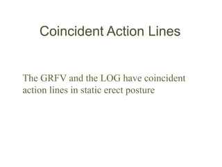 Coincident Action Lines
The GRFV and the LOG have coincident
action lines in static erect posture
 