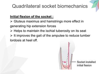 Quadrilateral socket biomechanics
Initial flexion of the socket :
 Gluteus maximus and hamstrings more effect in
generating hip extension forces
 Helps to maintain the ischial tuberosity on its seat
 It improves the gait of the amputee to reduce lumber
lordosis at heel off.
 