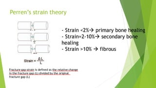 Biomechanics of Rigid Fixation and Achieving Absolute Stability in ...