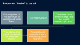 biomechanics of running. Dr.dhwani.pptx