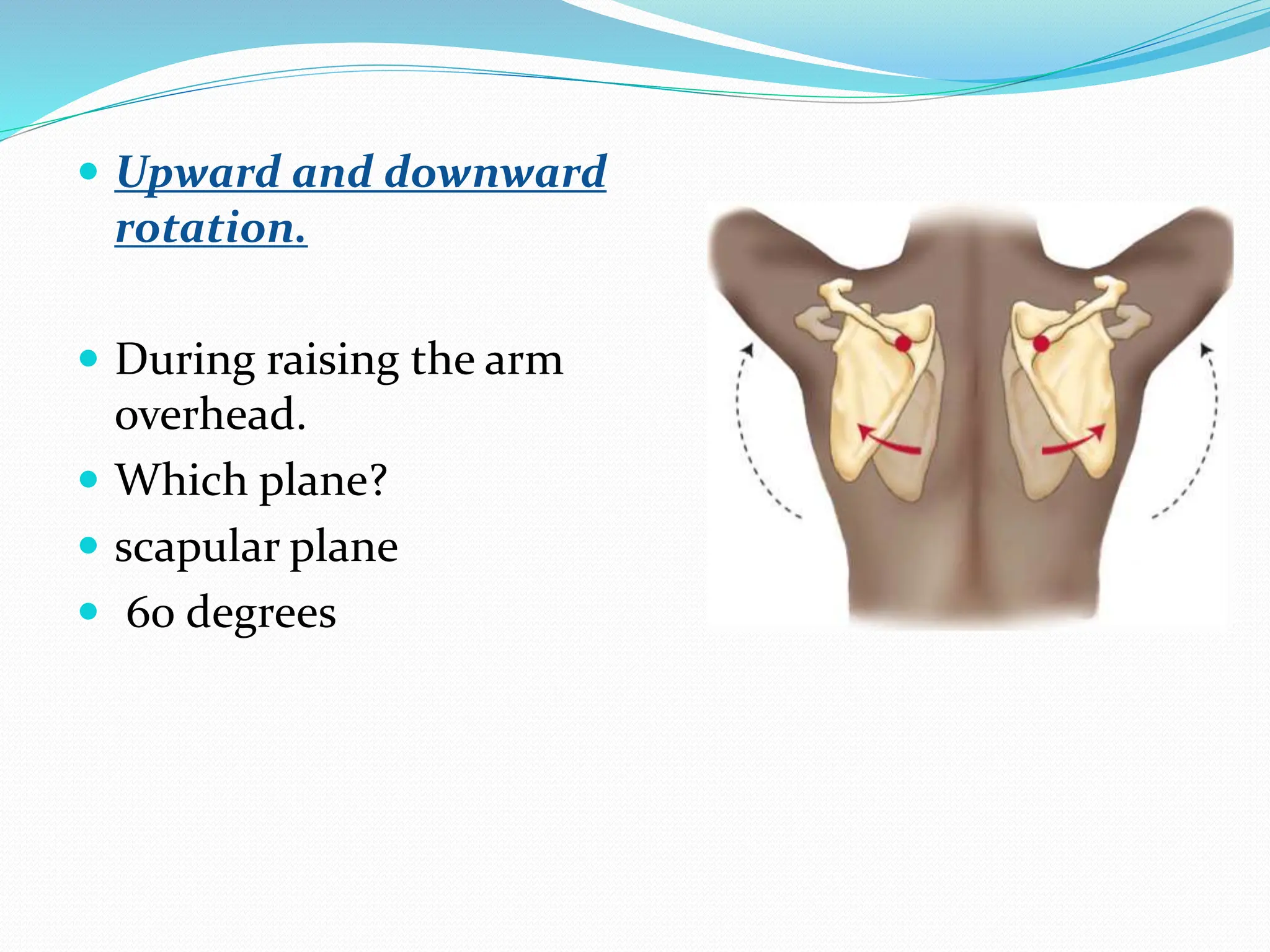 Upward Scapular Rotation BIOMECHANICS OF SHOULDER .pptx