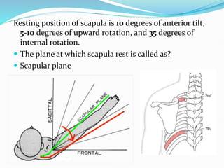 Upward Scapular Rotation BIOMECHANICS OF SHOULDER .pptx