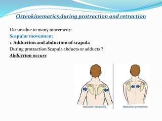 BIOMECHANICS OF SHOULDER .pptx