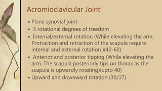 Ac Internal Rotation Biomechanics of shoulder complex | PPTX