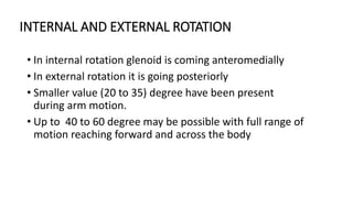 End Range Internal Rotation Biomechanics of the shoulder joint complex.pptx