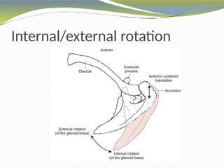 biomechanicsofshoulderug-160301061851.pptx