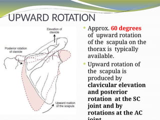 biomechanicsofshoulderug-160301061851.pptx