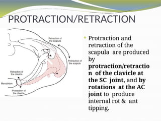biomechanicsofshoulderug-160301061851.pptx