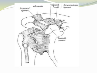 Pathological Shoulder Complex Biomechanics of shoulder complex | PPTX