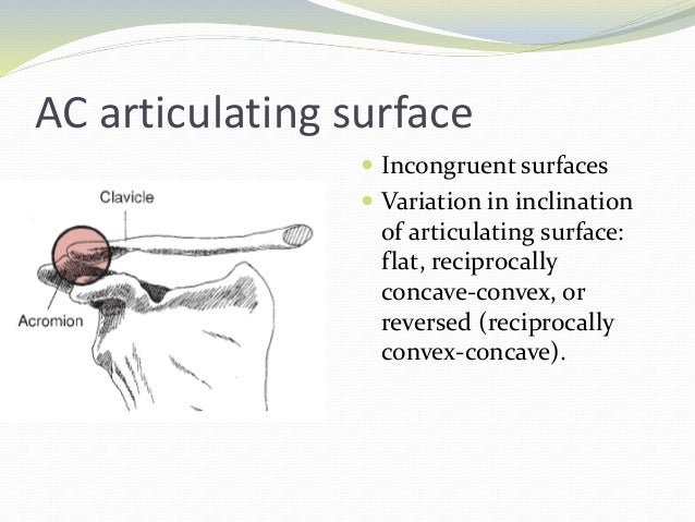 Biomechanics of shoulder complex