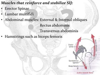 Sij Internal Rotation Biomechanics of si joint | PPTX