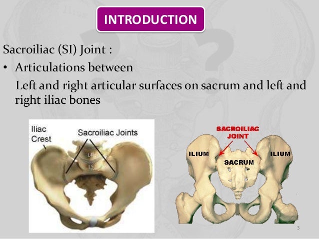 Biomechanics Of Si Joint - 638x479 - jpeg Sacroiliac Articulation