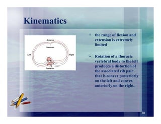 Vertebral Rptation With Rib Rotation Biomechanics of spine | PDF