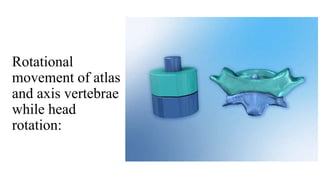 Atlas And Axis Rotation Biomechanics of spine.pptx.dr.shweta soni. | PPTX