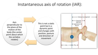 Biomechanics of spine.pptx.dr.shweta soni. | PPTX