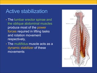 biomechanics of spine orthopaedic teaching .pdf
