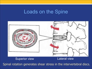 biomechanics of spine orthopaedic teaching .pdf