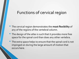 Functions of cervical region
• The cervical region demonstrates the most flexibility of
any of the regions of the vertebral column.
• The design of the atlas is such that it provides more free
space for the spinal cord than does any other vertebra.
• The extra space helps to ensure that the spinal cord is not
impinged on during the large amount of motion that
occurs here.
 