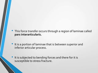 • This force transfer occurs through a region of laminae called
pars interarticularis.
• It is a portion of laminae that is between superior and
inferior articular process.
• It is subjected to bending forces and there for it is
susceptible to stress fracture.
 