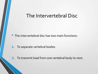 The Intervertebral Disc
• The intervertebral disc has two main functions-
1. To separate vertebral bodies
2. To transmit load from one vertebral body to next.
 