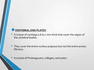 VERTEBRAL END PLATES :
• It is layer of cartilage 0.6 to 1 mm thick that cover the region of
the vertebral bodies.
• They cover the entire nucleus pulposus but not the entire anulus
fibrosus.
• It consist of Proteogycans, collagen, and water.
 