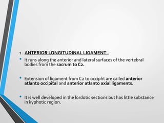 1. ANTERIOR LONGITUDINAL LIGAMENT -
• It runs along the anterior and lateral surfaces of the vertebral
bodies from the sacrum to C2.
• Extension of ligament from C2 to occipht are called anterior
atlanto occipital and anterior atlanto axial ligaments.
• It is well developed in the lordotic sections but has little substance
in kyphotic region.
 