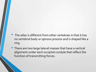 • The atlas is different from other vertebrae in that it has
no vertebral body or spinous process and is shaped like a
ring.
• There are two large lateral masses that have a vertical
alignment under each occipital condyle that reflect the
function of transmitting forces.
 