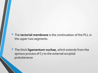 • The tectorial membrane is the continuation of the PLL in
the upper two segments.
• The thick ligamentum nuchae, which extends from the
spinous process of C7 to the external occipital
protuberance
 