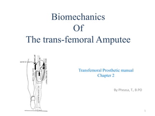 Biomechanics
Of
The trans-femoral Amputee
By Pheasa, T., B.PO
1
Transfemoral Prosthetic manual
Chapter 2
 