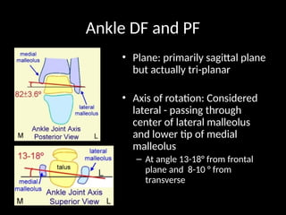 Lateral Rotation Of Ankle Rotation notes on BIOMECHANICS OF THE ANKLE AND FOOT.pptx