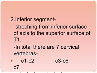 Segment Inferior biomechanicsofthecervicalspine-150120000612-conversion-gate02.pdf
