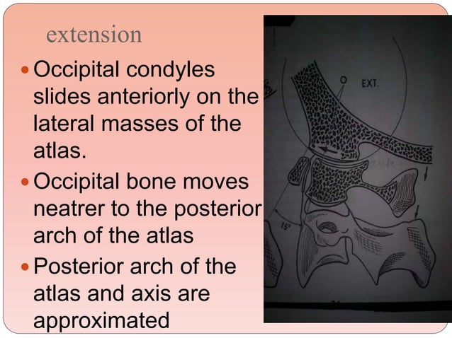 Biomechanics Of The Cervical Spine Ppt 3 