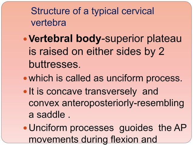 Biomechanics Of The Cervical Spine Ppt 3 