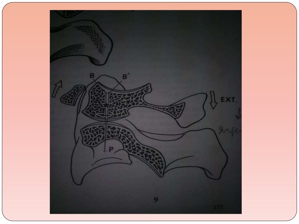biomechanics-of-the-cervical-spine-ppt-3