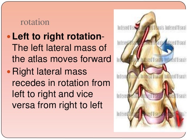 Biomechanics Of The Cervical Spine Ppt 3