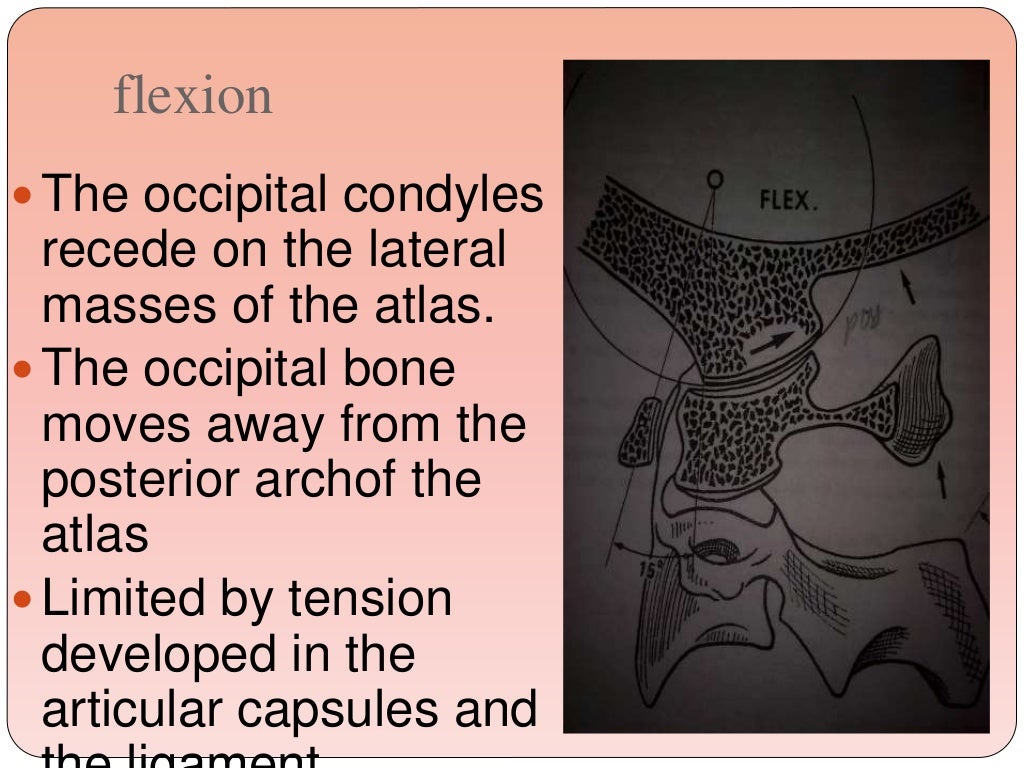 biomechanics-of-the-cervical-spine-ppt-3