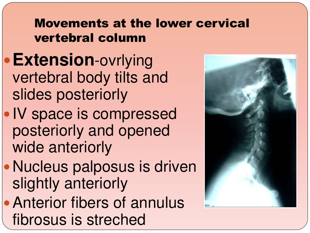 Biomechanics Of The Cervical Spine Ppt 3 