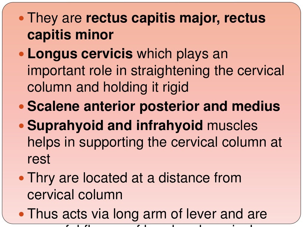 Biomechanics Of The Cervical Spine Ppt 3 
