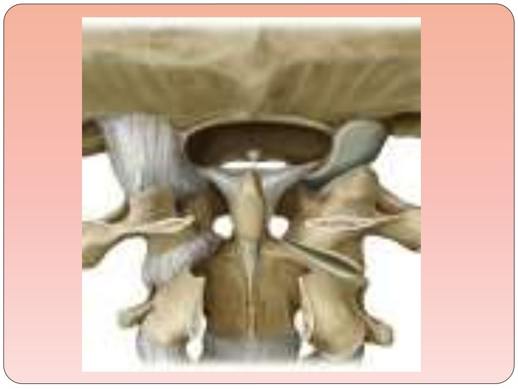 Biomechanics Of The Cervical Spine Ppt 3 