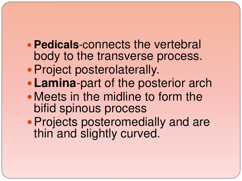 Biomechanics Of The Cervical Spine Ppt 3 