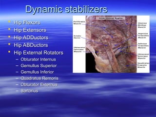 biomecanica de la articulacion de la cadera | PPT